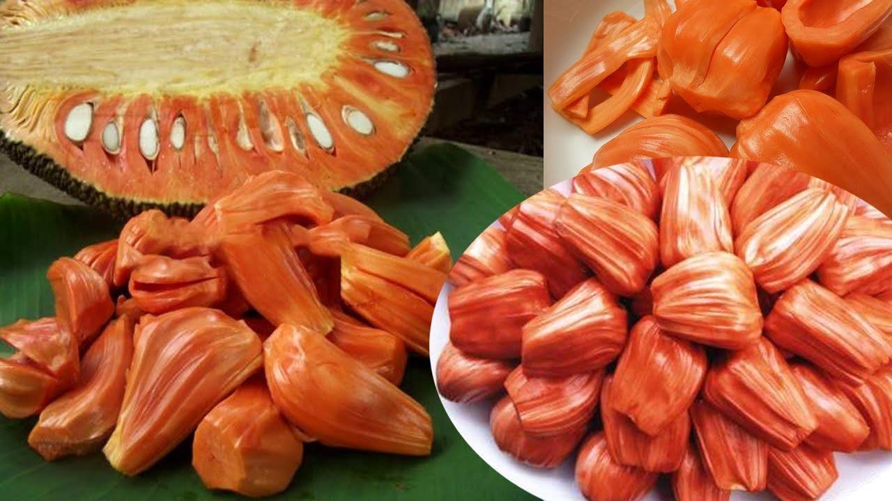 Sindoor Jack Fruit