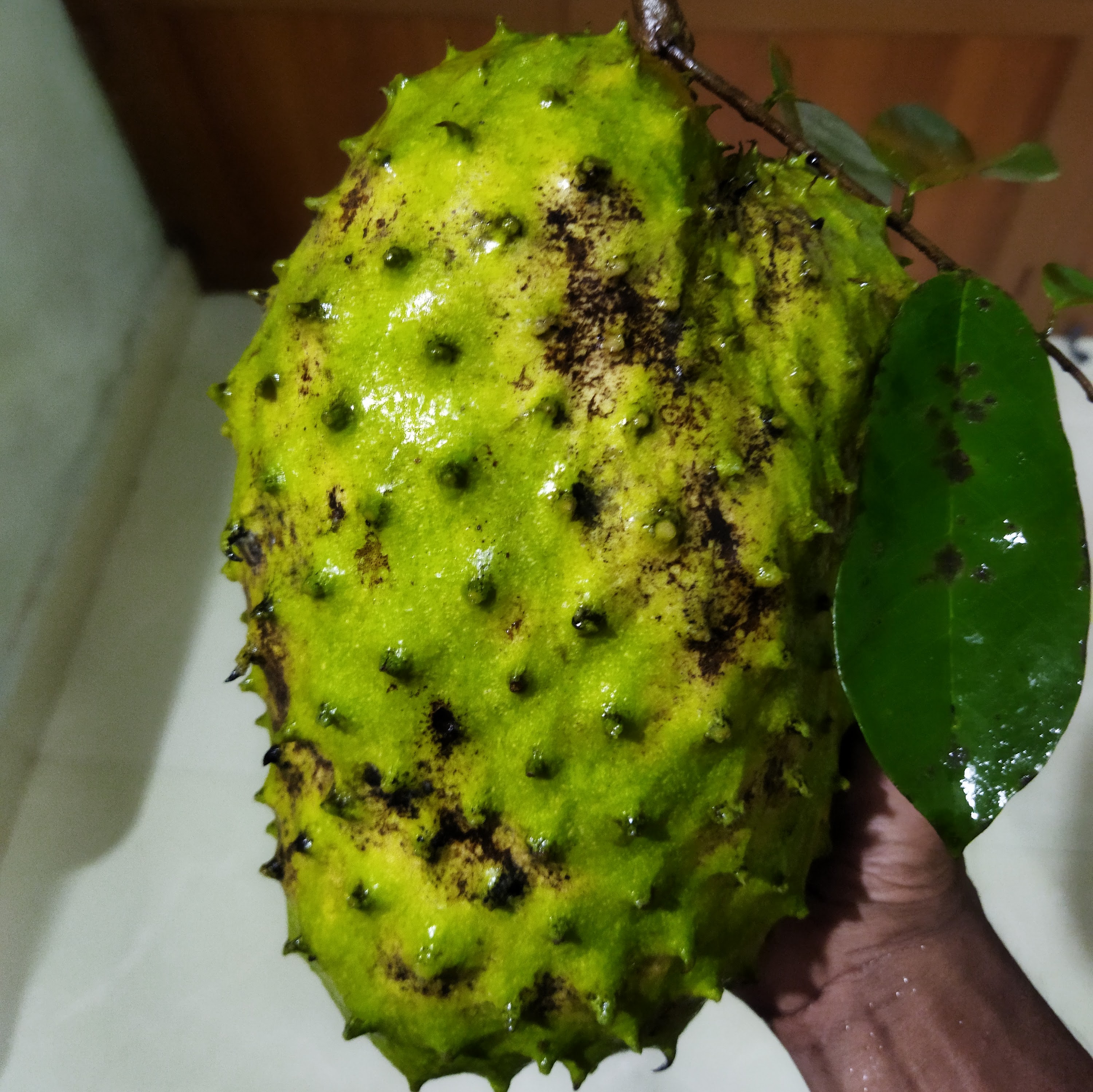 Soursop